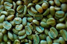 Гондурас SHG  зеленый - Кофе в зернах
