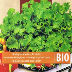 Салат  сорт "БИО ЧАША" (Bowl BIO)  5 гр. семян