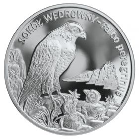 Сокол - Falco peregrinus монета 20 злотых 2008