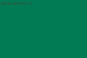 Colorama Spruce Green 37 Бумажный фон 2.72х11м
