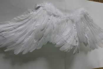 Посоветуйте кто наращивает крылья. Механические крылья ангела. А я хочу нарастить крылья. Нарастить крылья. Крылья лебедя из шифона.