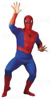 Костюм человека-паука (Spider-Man costume)