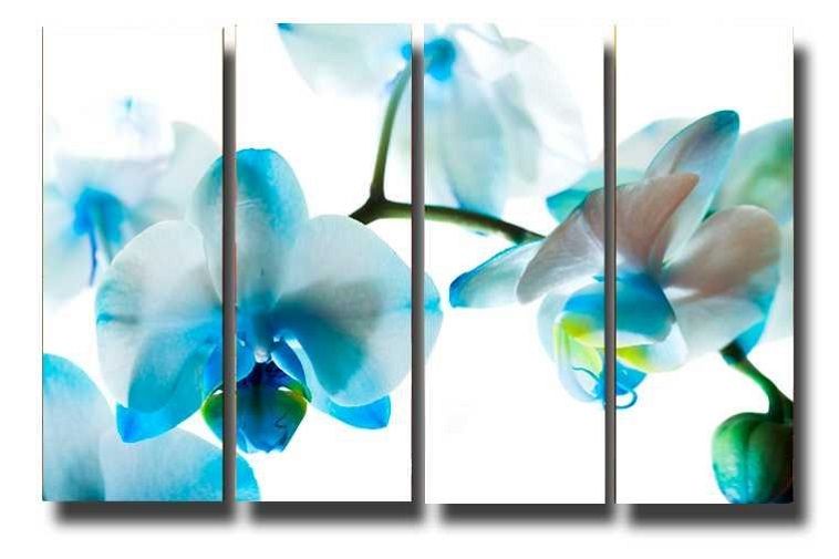 Модульная картина Голубая Орхидея