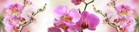 наклейка на фартук - Орхидеи