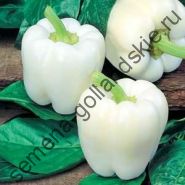 Перец сладкий "БЕЛЫЙ КОЛОКОЛ" (White Bell) 10 семян