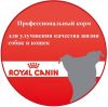 ROYAL CANIN для собак