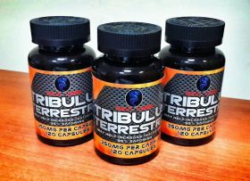 Восстановитель Tribulus (Navi Labs) 350 мг 120 капсул