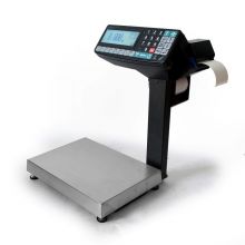MK-R2P10 торговые печатающие весы-регистраторы с отделительной пластиной