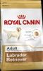 Royal Canin LABRADOR RETRIEVER ADULT для лабладора (с 15 мес.) 12 кг.