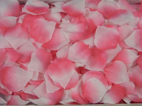 Лепестки розово-белых роз