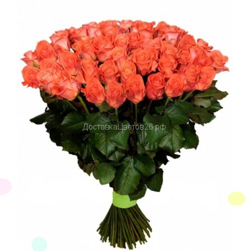 Оранжевые розы (Россия 60, 70 см)