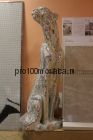 Ягуар из мозаики 1495х650х600 серия "Предметы интерьера" (Caramelle)