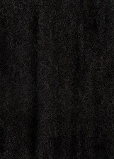 Аттика 153. Искусственная кожа.