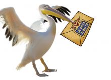 Почтовая открытка Добропочтальон пеликан