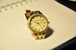 ЖЕНСКИЕ ЧАСЫ MICHAEL KORS