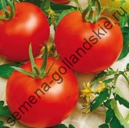 Томат "ХАЙНЦ 1350" (Heinz 1350) 10 семян