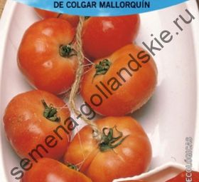 Томат "ПОДВЕСНОЙ МАЙОРКИ" (De Colgar Mallorquin) 10 семян