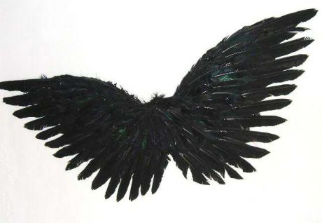 Крылышки Амура перьевые 60 см черные