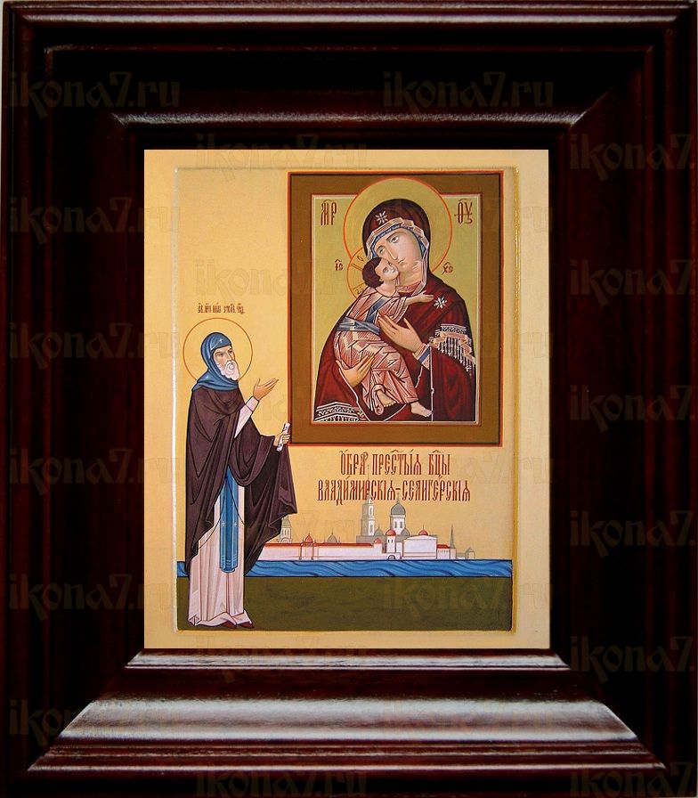 Владимирская Селигерская икона Божьей Матери (21х24), простой киот