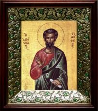 Тимофей, апостол (21х24), киот со стразами