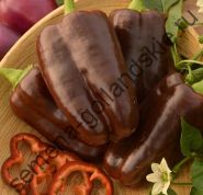 Перец "СЛАДКИЙ ШОКОЛАД" (Sweet Chocolate) 10 семян