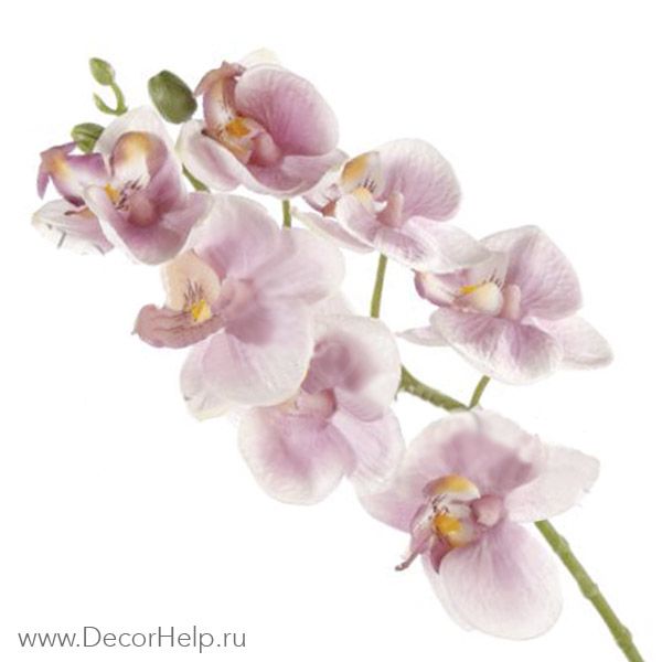 Орхидея розовая (10шт) арт: DCF007