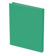 Папка 20 файлов "Silwerhof Basic/Element" 0.5 зеленая (арт. 255067-03) (11923)