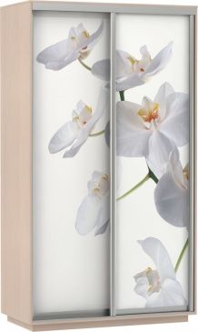 Шкаф-купе Дуо-двухдверный Фото (Орхидея Белая) | E1 Экспресс