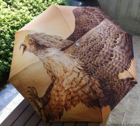 Раскладной зонт с 3D принтом "Орел"