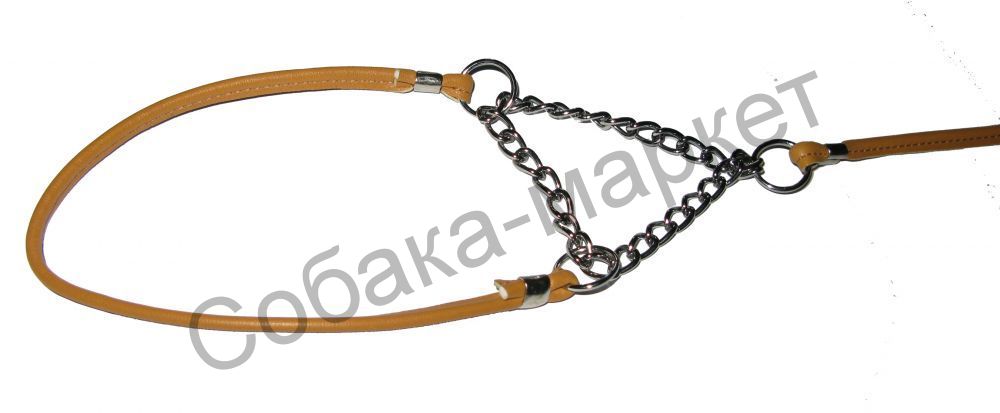 Collar Dog Extreme - Ринговка для собак, черный купить в Zoodom