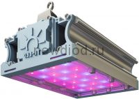 ФИТО СВЕТИЛЬНИК TL-PROM FITO 53 RS