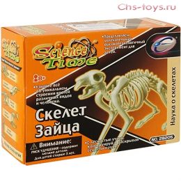 Серия "Познай мир" Скелет кролика.