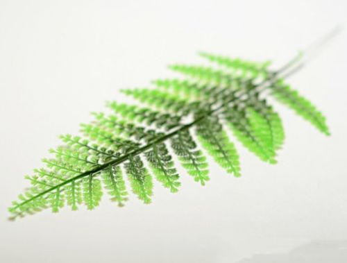 Лист петрушки зеленый комбинированный