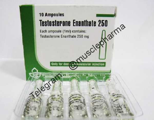 TESTOSTERONA ENANTHATE (Aburaihan Pharmaceutical Co, Iran). 1 ампула * 1 мл.