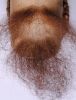 Борода средняя с усами под заказ