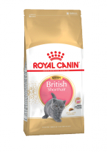Kitten british shorthair 0.4 кг