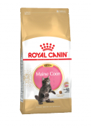 Kitten maine coon 0.4 кг