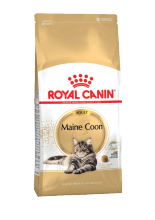 Maine coon 10кг