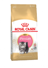 Kitten persian 10 кг