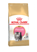 Kitten persian 2 кг