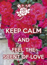 KEEP CALM and feel the scent of love