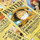Набор из 11 плакатов "Wanted" из "One Piece"