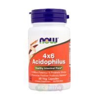 4х6 Acidophilus (Ацидофилус пробиотик) 60 капс.
