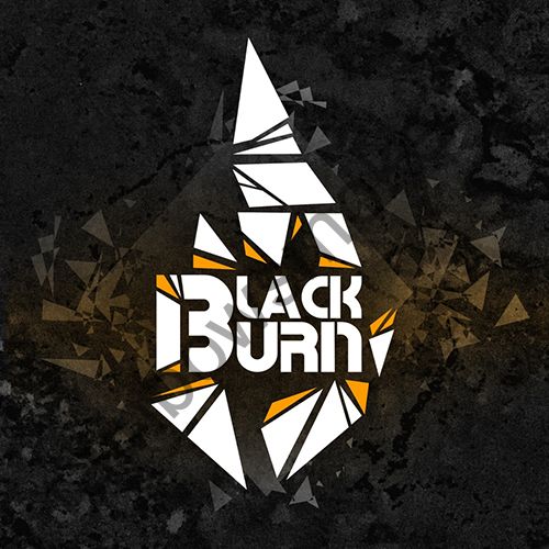 Black Burn 200 гр - It’s Not Black Currant (Красная Смородина)