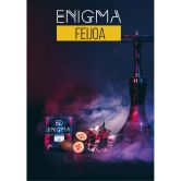 Enigma 100 гр - Feijoa (Фейхоа)