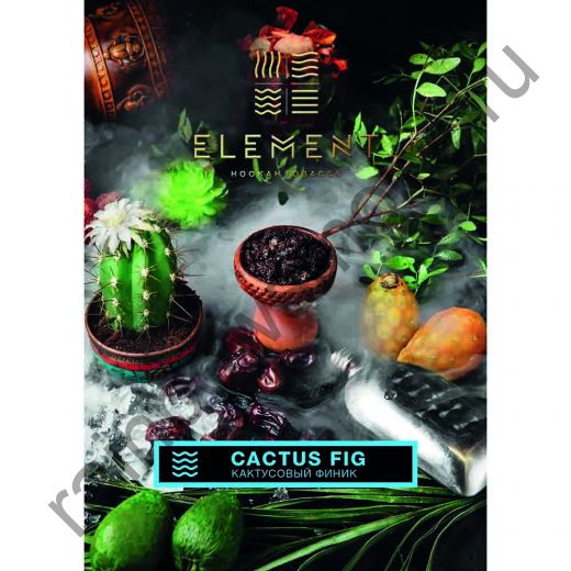 Element Вода 200 гр - Cactus Fig (Кактусовый Финик)