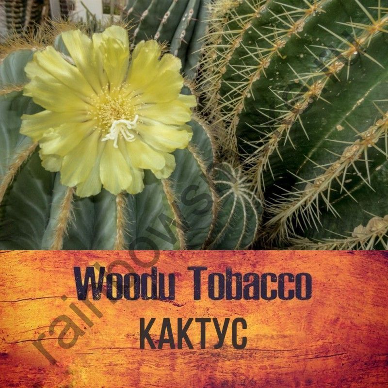 Woodu 250 гр - Кактус (Cactus)