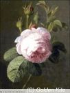 1497. Rose (small)
