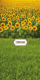 Фон "Sunflowers" 3x1,5 (3,5x1,5 м)