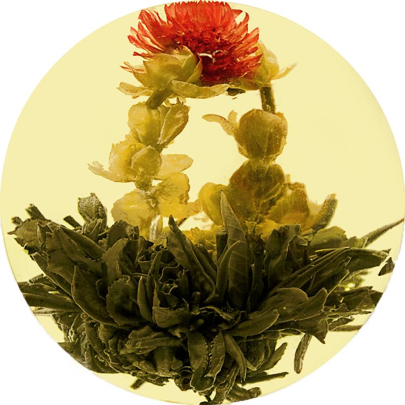 Рождение Венеры с ароматом жасмина - элитный китайский связанный чай